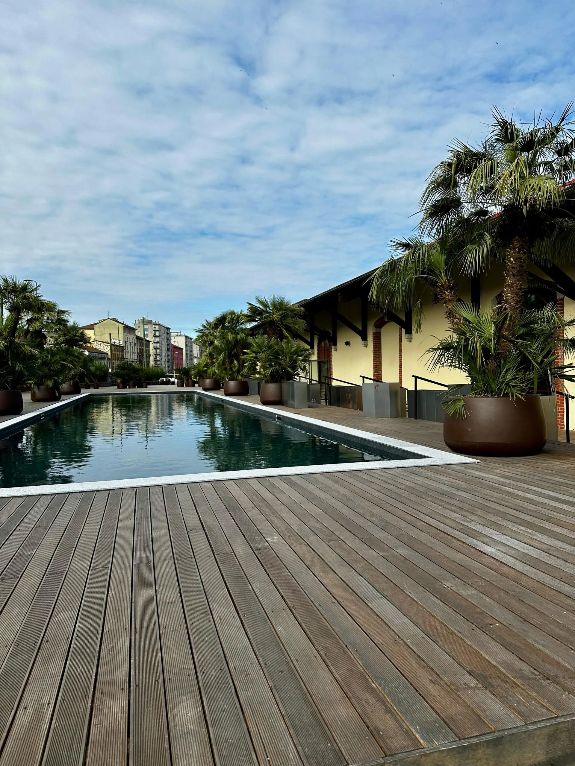 Vista panoramica della piscina con palme, parte dell’area esterna del locale